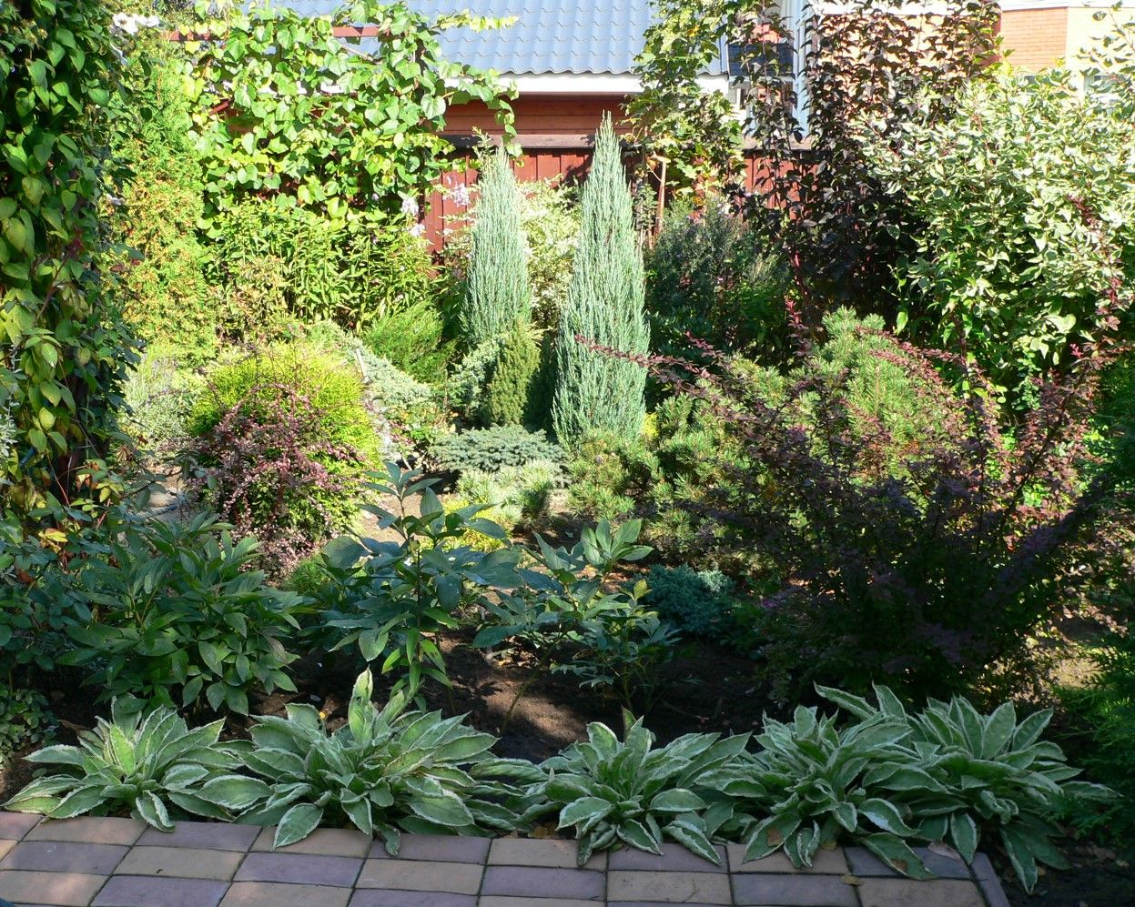 Проект Горки 2